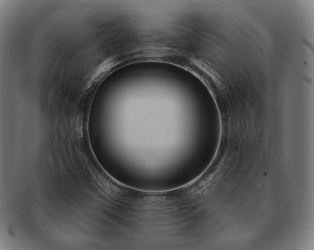 X0000091891451200709051334