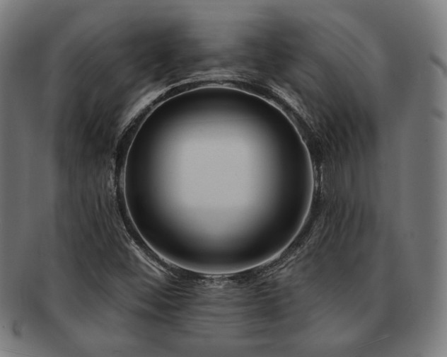 X0000091891452200709051334