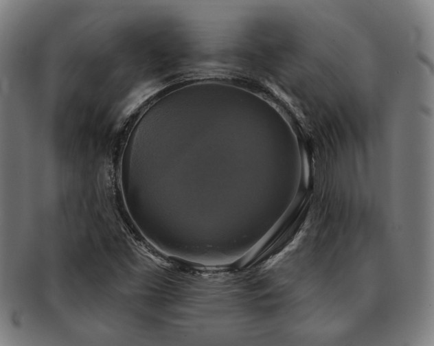 X0000091891453200709051334