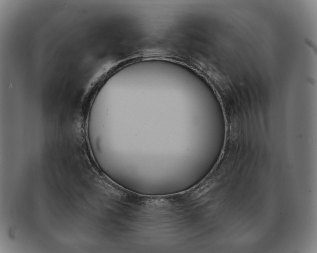 X0000091891454200709051334