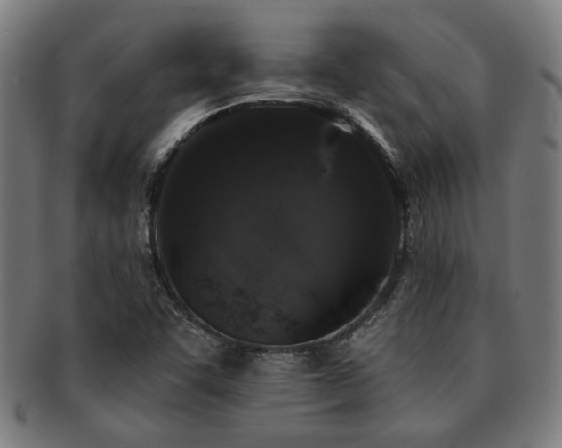 X0000091891455200709051334