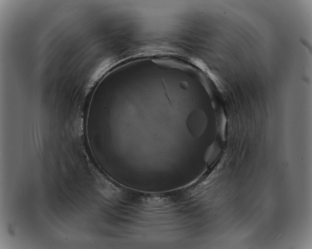 X0000091891459200709051334
