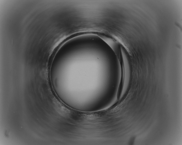 X0000091891460200709051334