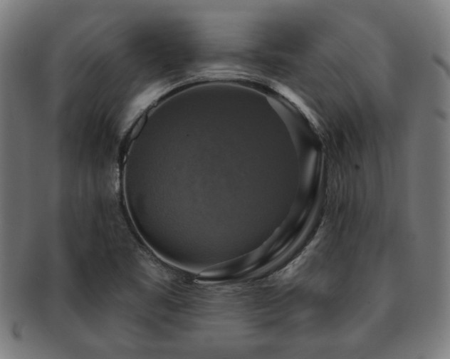 X0000091891461200709051334