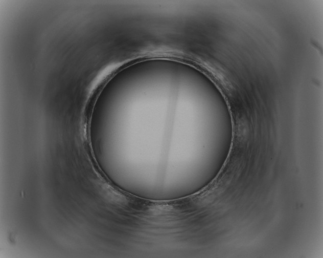 X0000091891462200709051334