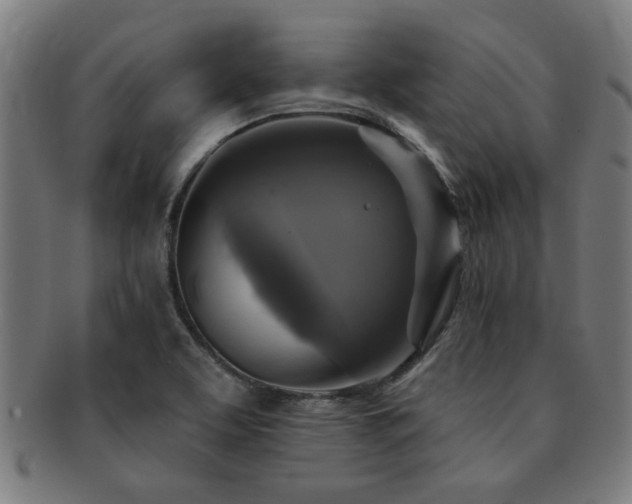 X0000091891463200709051334