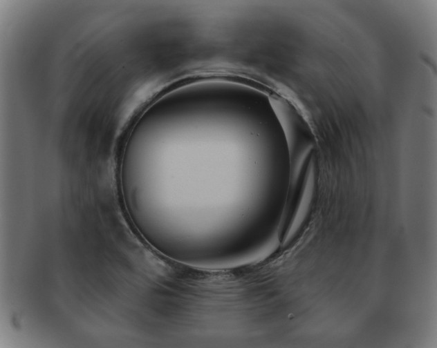 X0000091891464200709051334