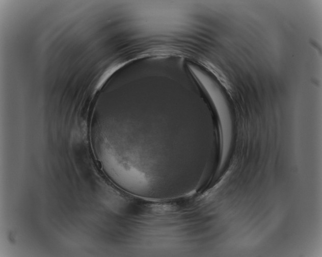 X0000091891465200709051334
