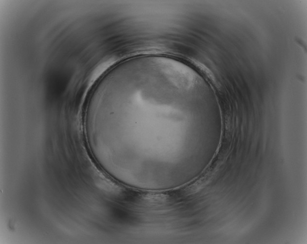 X0000091891466200709051334