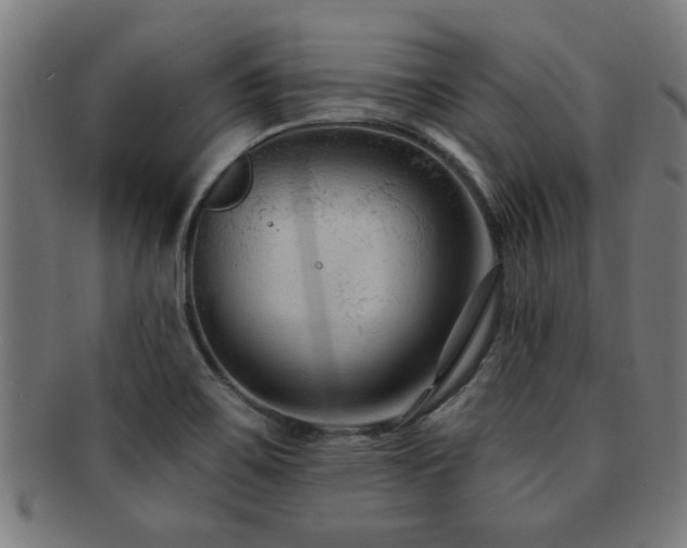X0000091891467200709051334