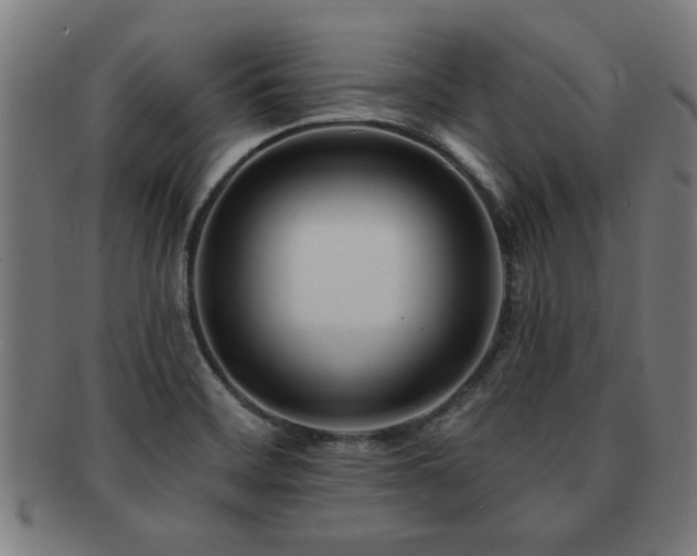 X0000091891468200709051334