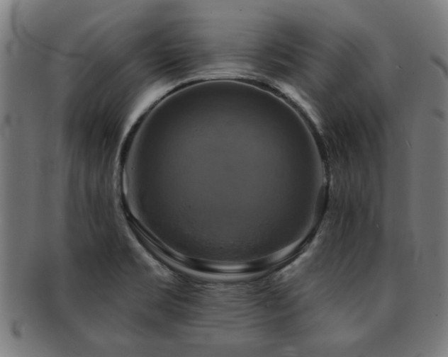 X0000091891469200709051334