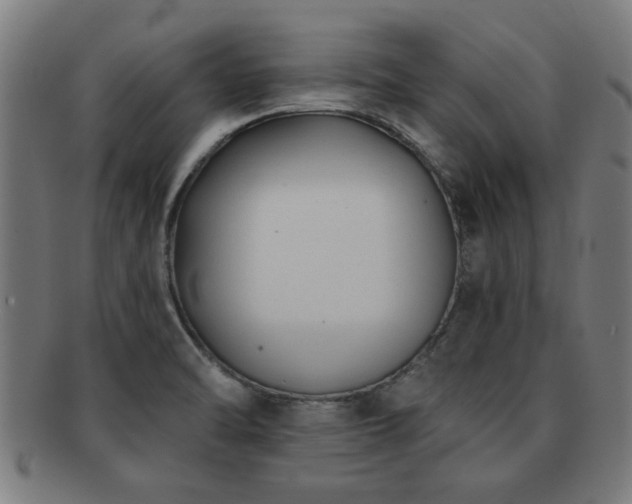 X0000091891470200709051334