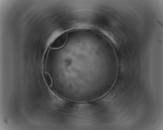 X0000091891471200709051334