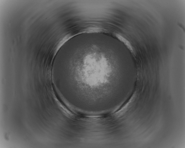 X0000091891473200709051334