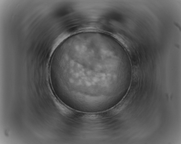 X0000091891474200709051334