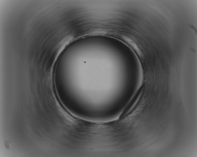 X0000091891475200709051334