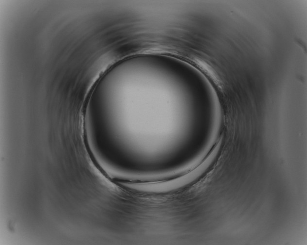 X0000091891476200709051334