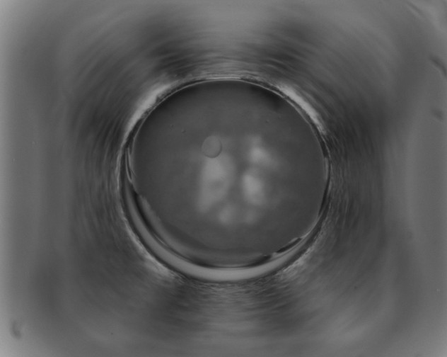 X0000091891477200709051334