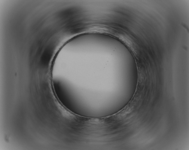 X0000091891478200709051334
