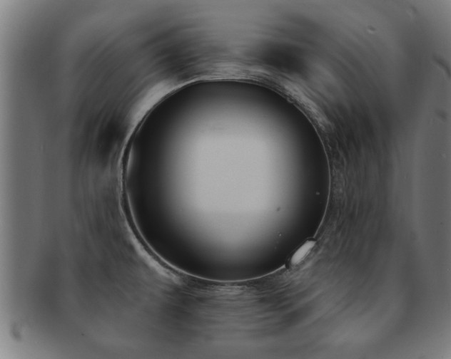 X0000091891479200709051334