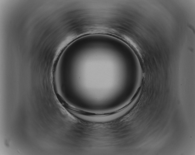 X0000091891480200709051334
