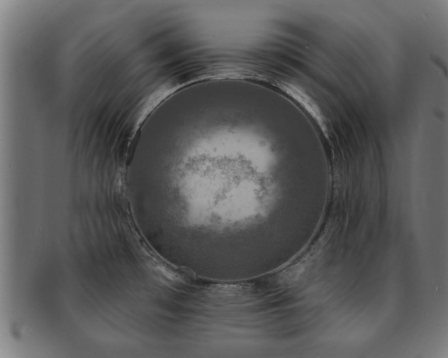 X0000091891481200709051334