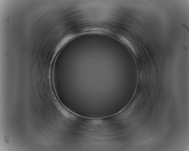 X0000091891482200709051334