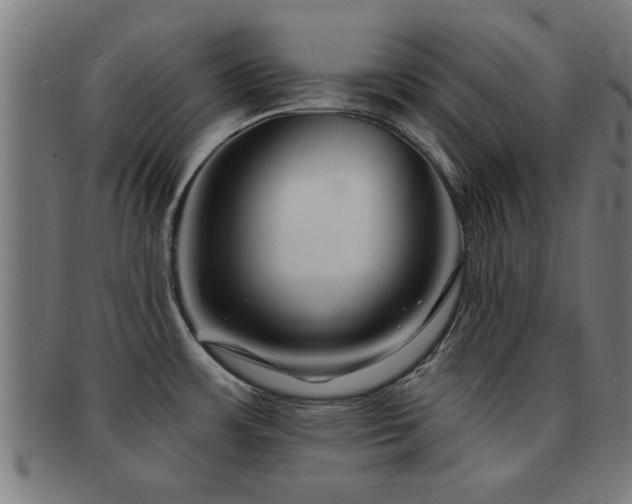 X0000091891483200709051334