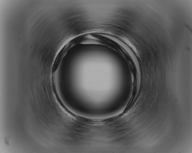 X0000091891484200709051334