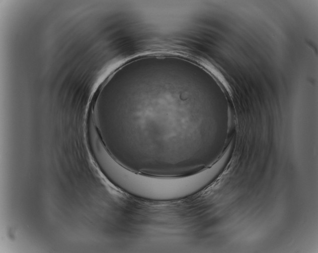 X0000091891485200709051334