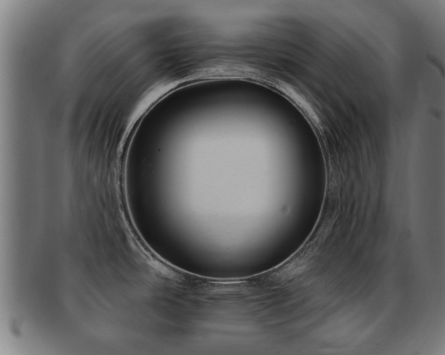 X0000091891486200709051334