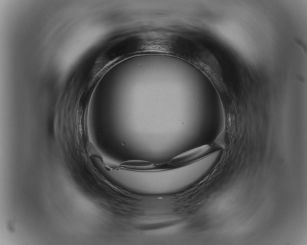 X0000091891487200709051334