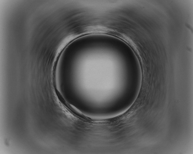 X0000091891488200709051334