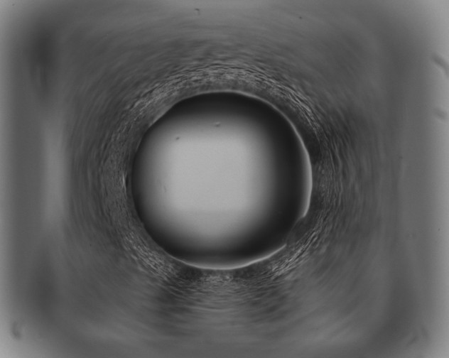 X0000091891489200709051333