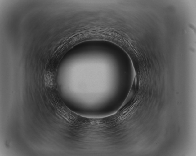 X0000091891490200709051333
