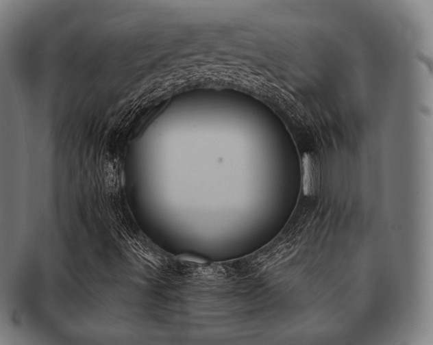 X0000091891491200709051333
