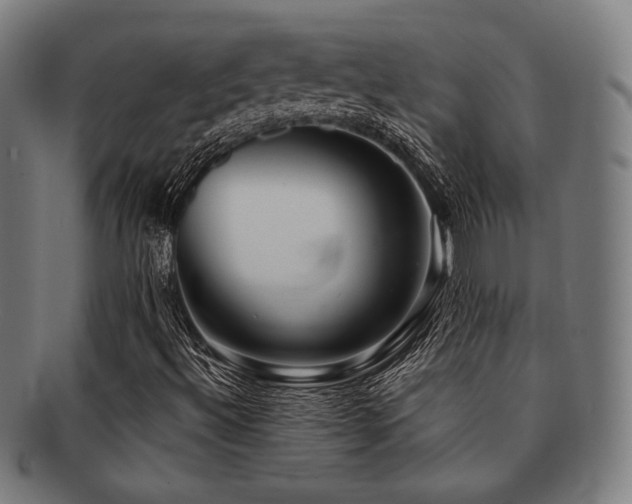 X0000091891492200709051333
