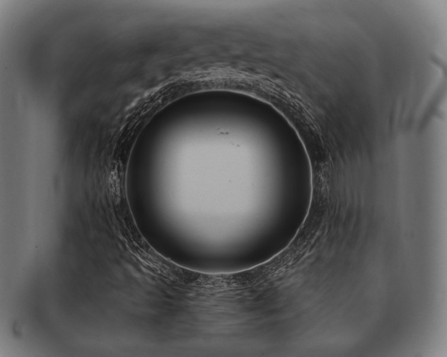 X0000091891493200709051333