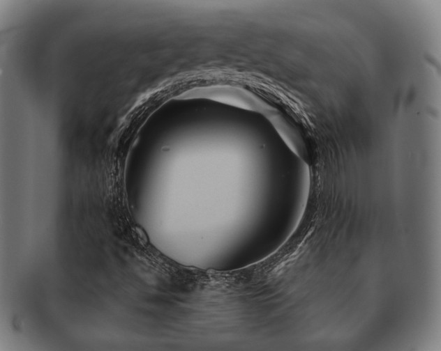 X0000091891494200709051333
