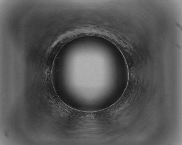 X0000091891495200709051333