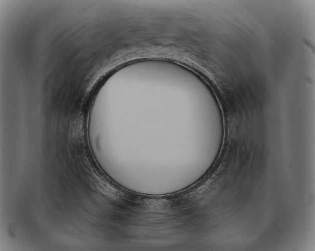 X0000091891498200709051333