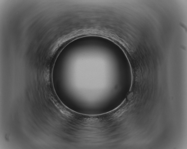 X0000091891499200709051333