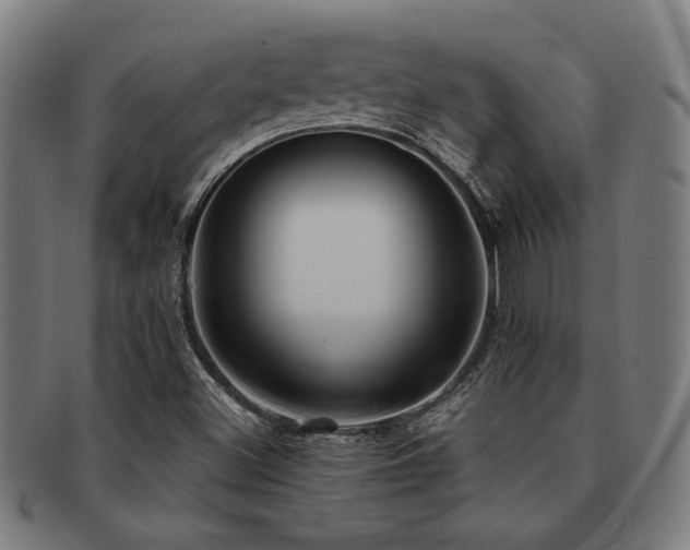 X0000091891500200709051333