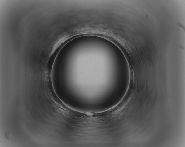 X0000091891501200709051333