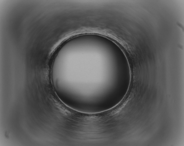 X0000091891502200709051333