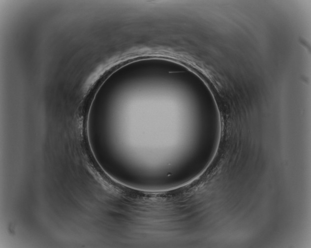 X0000091891503200709051333