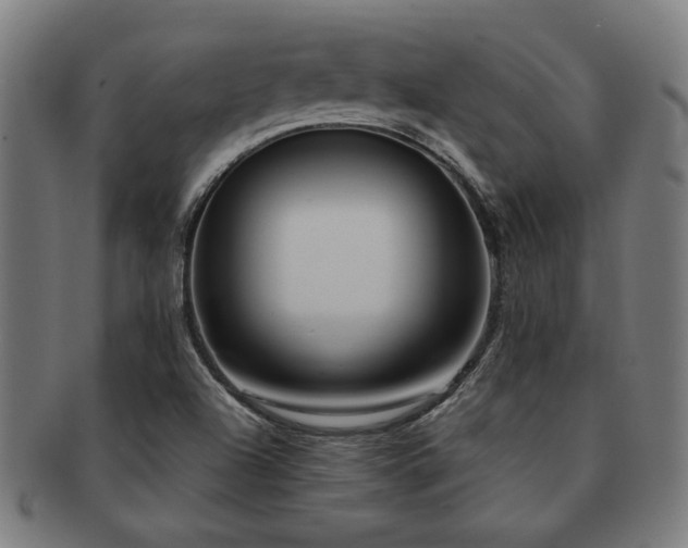 X0000091891504200709051333