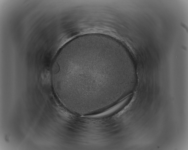 X0000091891505200709051333