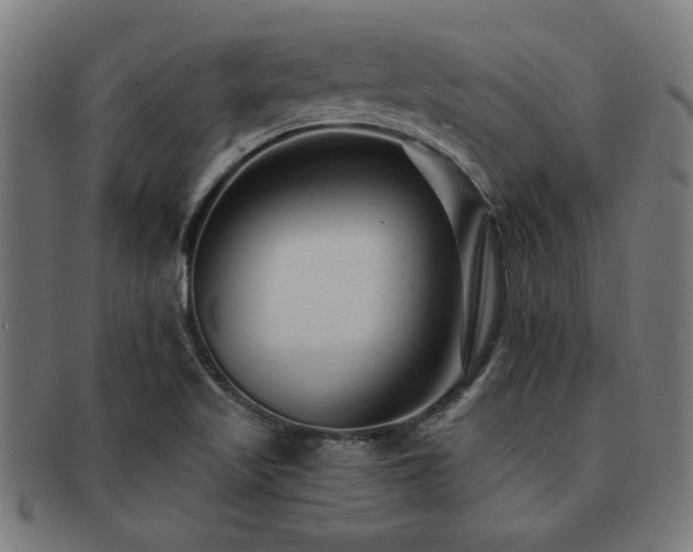 X0000091891509200709051333